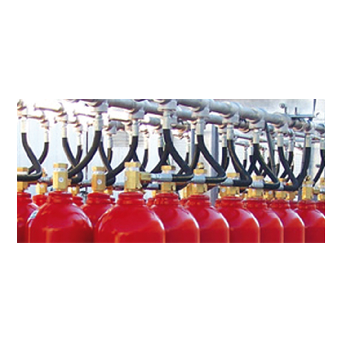Bavaria Total Flooding 45KG CO2 Fire Suppression System