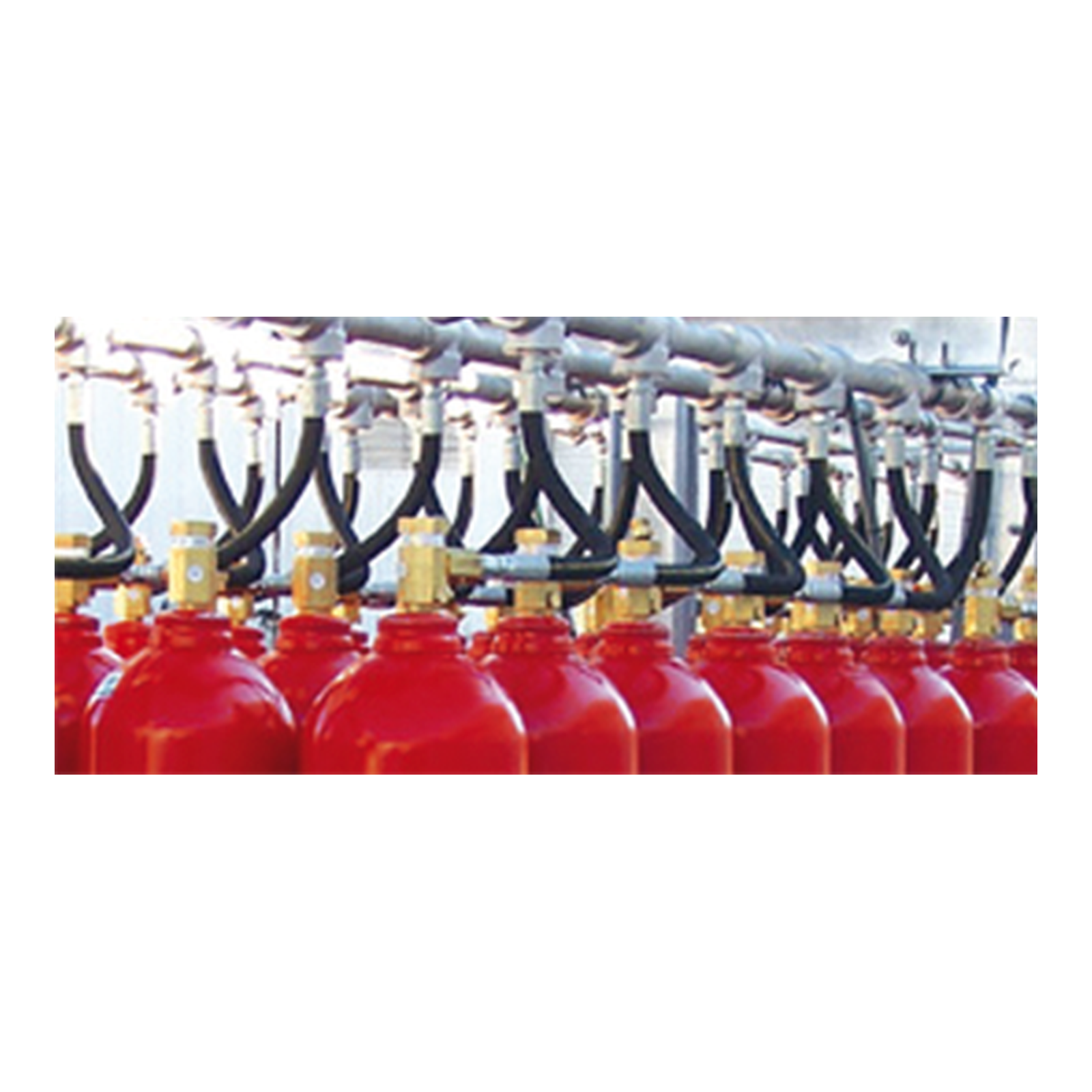 Bavaria Total Flooding 45KG CO2 Fire Suppression System